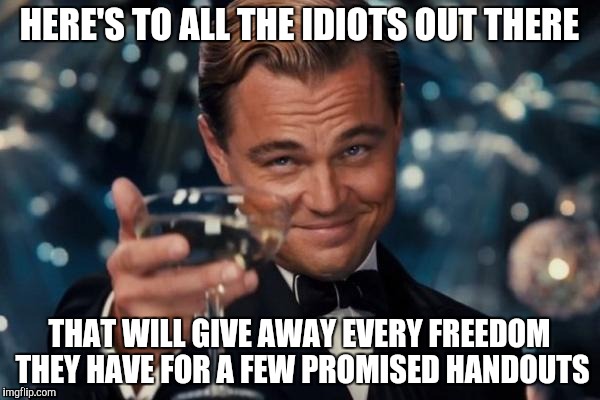 Leonardo Dicaprio Cheers | HERE'S TO ALL THE IDIOTS OUT THERE; THAT WILL GIVE AWAY EVERY FREEDOM THEY HAVE FOR A FEW PROMISED HANDOUTS | image tagged in memes,leonardo dicaprio cheers | made w/ Imgflip meme maker