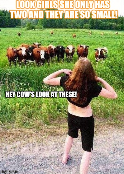 Flashing Cows(?) | LOOK GIRLS SHE ONLY HAS TWO AND THEY ARE SO SMALL! HEY COW'S LOOK AT THESE! | image tagged in flashing cows | made w/ Imgflip meme maker