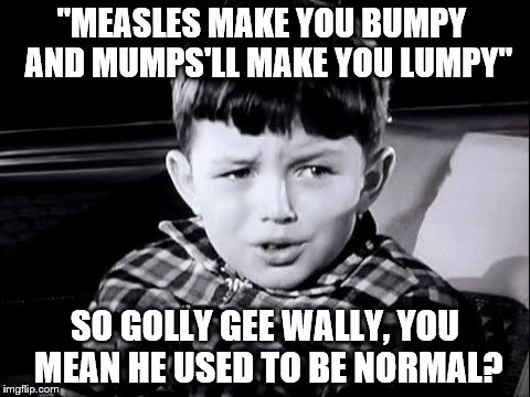 "MEASLES MAKE YOU BUMPY
 AND MUMPS'LL MAKE YOU LUMPY" SO GOLLY GEE WALLY, YOU MEAN HE USED TO BE NORMAL? | made w/ Imgflip meme maker