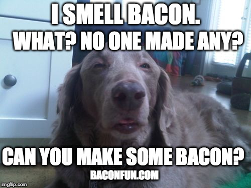 High Dog Meme | I SMELL BACON. WHAT? NO ONE MADE ANY? CAN YOU MAKE SOME BACON? BACONFUN.COM | image tagged in memes,high dog | made w/ Imgflip meme maker