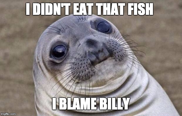 Guilt | I DIDN'T EAT THAT FISH; I BLAME BILLY | image tagged in memes,awkward moment sealion | made w/ Imgflip meme maker