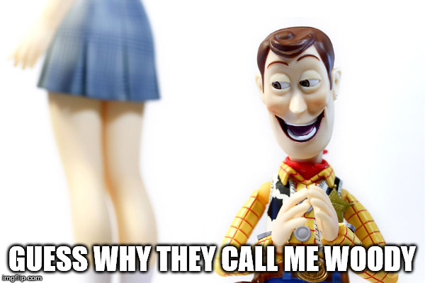 GUESS WHY THEY CALL ME WOODY | made w/ Imgflip meme maker