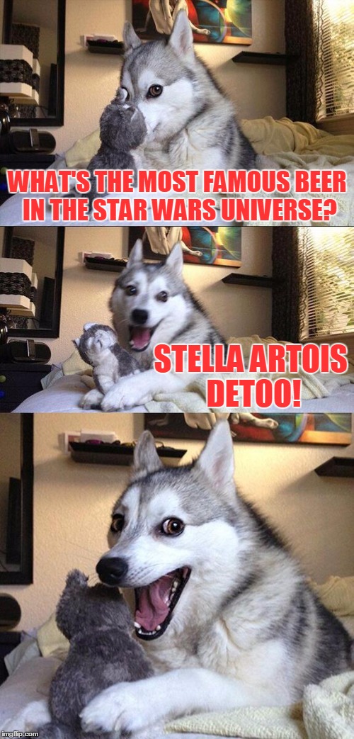 Bad Pun Dog Meme | WHAT'S THE MOST FAMOUS BEER IN THE STAR WARS UNIVERSE? STELLA ARTOIS DETOO! | image tagged in memes,bad pun dog | made w/ Imgflip meme maker
