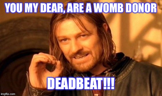 One Does Not Simply | YOU MY DEAR, ARE A WOMB DONOR; DEADBEAT!!! | image tagged in memes,one does not simply | made w/ Imgflip meme maker