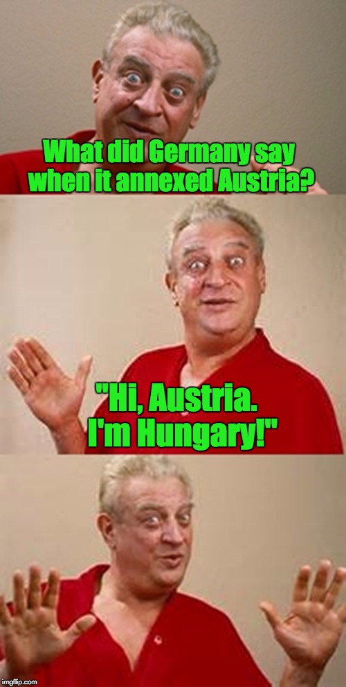 bad pun Dangerfield  | What did Germany say when it annexed Austria? "Hi, Austria.  I'm Hungary!" | image tagged in bad pun dangerfield | made w/ Imgflip meme maker