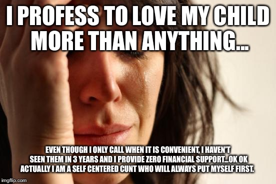 You are a deadbeat!  | I PROFESS TO LOVE MY CHILD MORE THAN ANYTHING... EVEN THOUGH I ONLY CALL WHEN IT IS CONVENIENT, I HAVEN'T SEEN THEM IN 3 YEARS AND I PROVIDE ZERO FINANCIAL SUPPORT...OK OK ACTUALLY I AM A SELF CENTERED CUNT WHO WILL ALWAYS PUT MYSELF FIRST. | image tagged in memes,first world problems | made w/ Imgflip meme maker