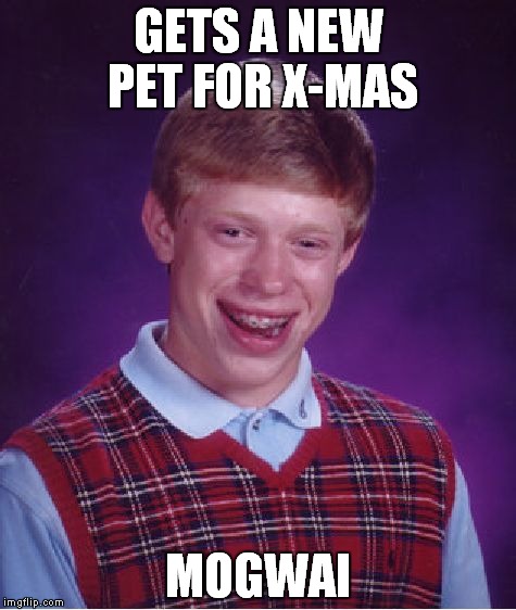 Bad Luck Brian | GETS A NEW PET FOR X-MAS; MOGWAI | image tagged in memes,bad luck brian | made w/ Imgflip meme maker