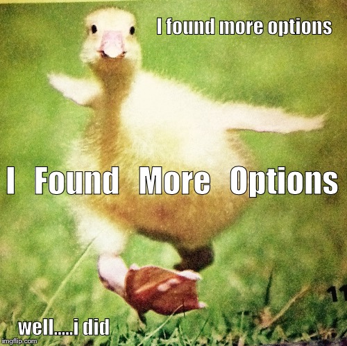 I found more options; I   Found   More   Options; well.....i did | image tagged in found it | made w/ Imgflip meme maker