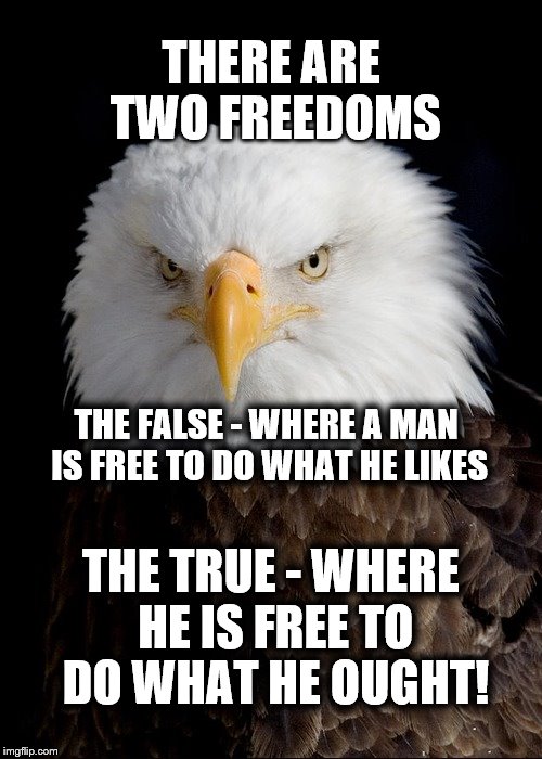 THERE ARE TWO FREEDOMS; THE FALSE - WHERE A MAN IS FREE TO DO WHAT HE LIKES; THE TRUE - WHERE HE IS FREE TO DO WHAT HE OUGHT! | image tagged in freedom is coming | made w/ Imgflip meme maker