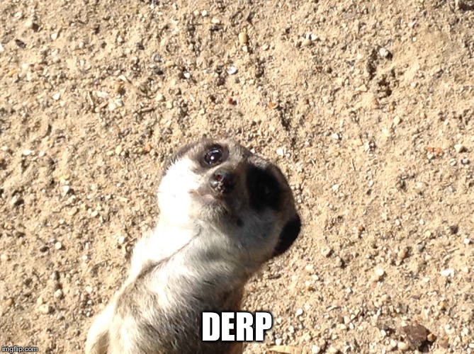 DERP | image tagged in derp | made w/ Imgflip meme maker