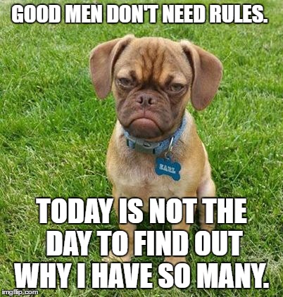 Grumpy Dog | GOOD MEN DON'T NEED RULES. TODAY IS NOT THE DAY TO FIND OUT WHY I HAVE SO MANY. | image tagged in grumpy dog | made w/ Imgflip meme maker