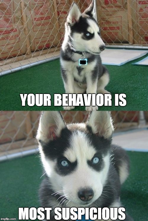Insanity Puppy Meme | YOUR BEHAVIOR IS; MOST SUSPICIOUS | image tagged in memes,insanity puppy | made w/ Imgflip meme maker