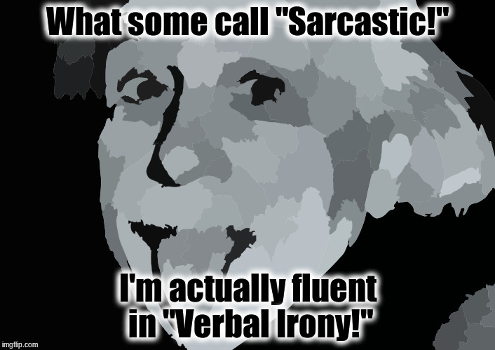 Verbal Irony! |  What some call "Sarcastic!"; I'm actually fluent in "Verbal Irony!" | image tagged in sarcastic | made w/ Imgflip meme maker