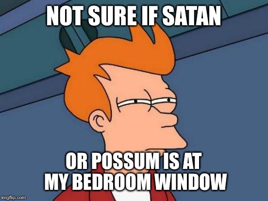 Futurama Fry | NOT SURE IF SATAN; OR POSSUM IS AT MY BEDROOM WINDOW | image tagged in memes,futurama fry | made w/ Imgflip meme maker