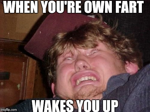 WTF Meme | WHEN YOU'RE OWN FART; WAKES YOU UP | image tagged in memes,wtf | made w/ Imgflip meme maker