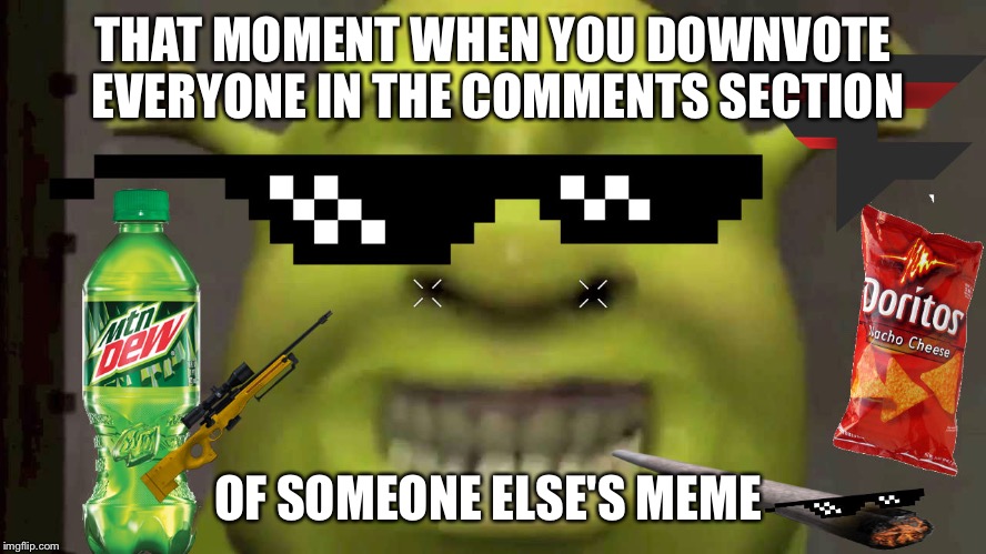 SHREKT | THAT MOMENT WHEN YOU DOWNVOTE EVERYONE IN THE COMMENTS SECTION; OF SOMEONE ELSE'S MEME | image tagged in shrekt | made w/ Imgflip meme maker