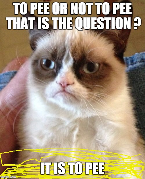 Grumpy Cat Meme | TO PEE OR NOT TO PEE THAT IS THE QUESTION ? IT IS TO PEE | image tagged in memes,grumpy cat | made w/ Imgflip meme maker