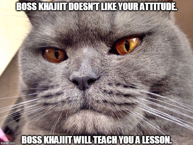 Boss Khajiit | BOSS KHAJIIT DOESN'T LIKE YOUR ATTITUDE. BOSS KHAJIIT WILL TEACH YOU A LESSON. | image tagged in boss khajiit | made w/ Imgflip meme maker