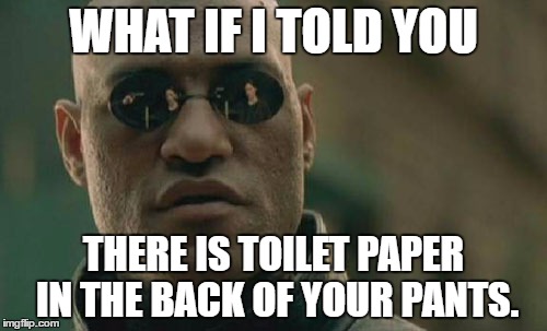 Matrix Morpheus | WHAT IF I TOLD YOU; THERE IS TOILET PAPER IN THE BACK OF YOUR PANTS. | image tagged in memes,matrix morpheus | made w/ Imgflip meme maker