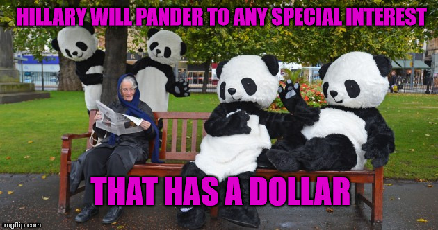 panda bears in edinburgh mocking and clocking | HILLARY WILL PANDER TO ANY SPECIAL INTEREST; THAT HAS A DOLLAR | image tagged in panda bears in edinburgh mocking and clocking | made w/ Imgflip meme maker