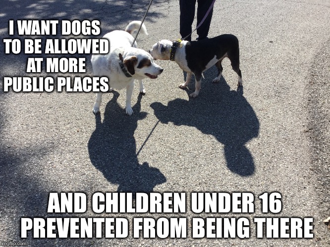 I WANT DOGS TO BE ALLOWED AT MORE PUBLIC PLACES; AND CHILDREN UNDER 16 PREVENTED FROM BEING THERE | image tagged in dogs,not children,childfree,overpopulation | made w/ Imgflip meme maker