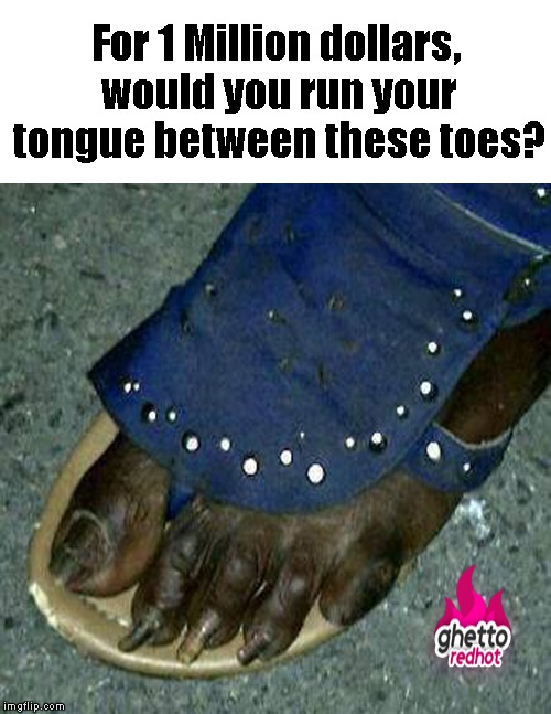 A cool million awaits you.... | For 1 Million dollars, would you run your tongue between these toes? | image tagged in funny memes,feet,toe,nasty,meme | made w/ Imgflip meme maker