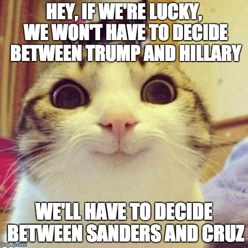 Deciding will be easier I guess...  | HEY, IF WE'RE LUCKY, WE WON'T HAVE TO DECIDE BETWEEN TRUMP AND HILLARY; WE'LL HAVE TO DECIDE BETWEEN SANDERS AND CRUZ | image tagged in memes,smiling cat | made w/ Imgflip meme maker