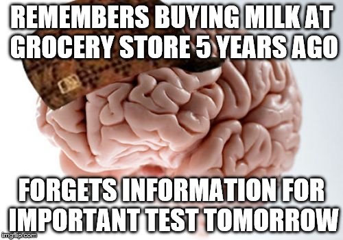 Scumbag Brain | REMEMBERS BUYING MILK AT GROCERY STORE 5 YEARS AGO; FORGETS INFORMATION FOR IMPORTANT TEST TOMORROW | image tagged in memes,scumbag brain | made w/ Imgflip meme maker