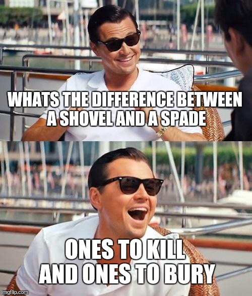 Leonardo Dicaprio Wolf Of Wall Street | WHATS THE DIFFERENCE BETWEEN A SHOVEL AND A SPADE; ONES TO KILL AND ONES TO BURY | image tagged in memes,leonardo dicaprio wolf of wall street | made w/ Imgflip meme maker