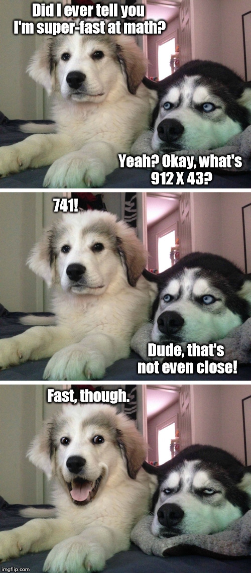 Something's Not Adding Up Here... | Did I ever tell you I'm super-fast at math? Yeah? Okay, what's 912 X 43? 741! Dude, that's not even close! Fast, though. | image tagged in bad pun dogs,math,fast | made w/ Imgflip meme maker