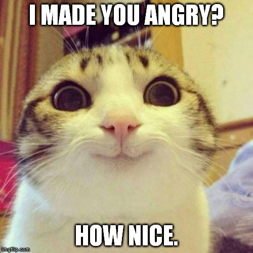 Now ask me if I care... | I MADE YOU ANGRY? HOW NICE. | image tagged in memes,smiling cat,anger,butthurt,angry | made w/ Imgflip meme maker