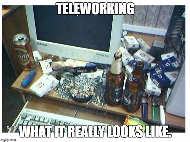 TELEWORKING; WHAT IT REALLY LOOKS LIKE. | image tagged in teleworking | made w/ Imgflip meme maker