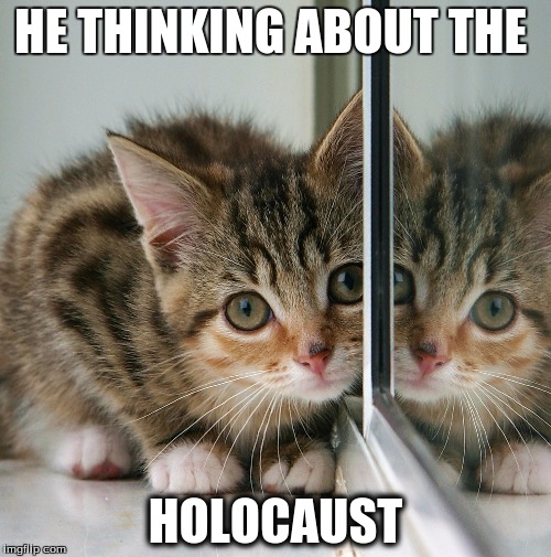 HE THINKING ABOUT THE; HOLOCAUST | image tagged in mirror cat | made w/ Imgflip meme maker