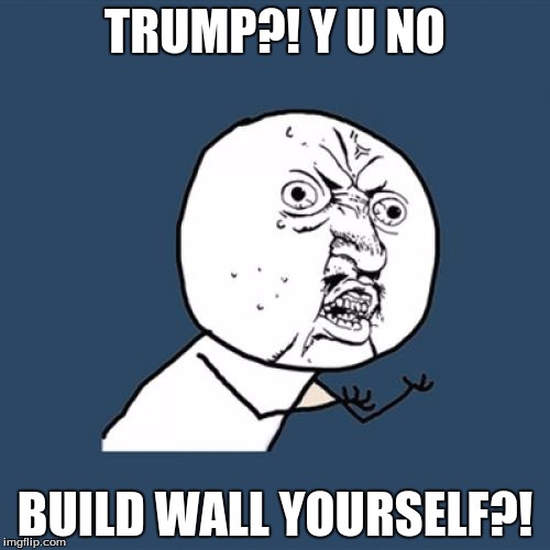 Y U No Meme | TRUMP?! Y U NO; BUILD WALL YOURSELF?! | image tagged in memes,y u no | made w/ Imgflip meme maker