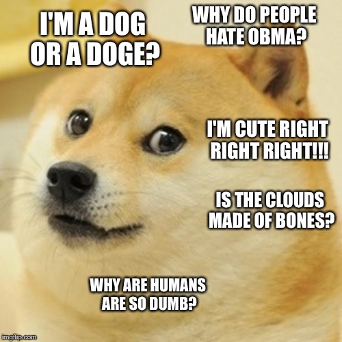 Doge Meme | WHY DO PEOPLE HATE OBMA? I'M A DOG OR A DOGE? I'M CUTE RIGHT RIGHT RIGHT!!! IS THE CLOUDS MADE OF BONES? WHY ARE HUMANS ARE SO DUMB? | image tagged in memes,doge | made w/ Imgflip meme maker