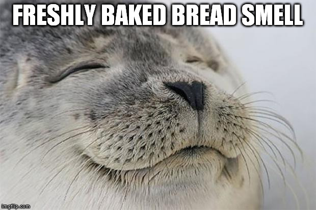 Pure happiness. | FRESHLY BAKED BREAD SMELL | image tagged in memes,satisfied seal | made w/ Imgflip meme maker