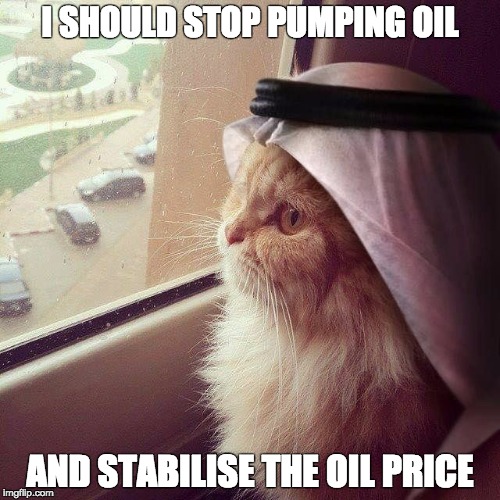 Saudi Cat | I SHOULD STOP PUMPING OIL; AND STABILISE THE OIL PRICE | image tagged in cat,oil,petrol,saudi | made w/ Imgflip meme maker