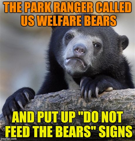 Confession Bear | THE PARK RANGER CALLED US WELFARE BEARS; AND PUT UP "DO NOT FEED THE BEARS" SIGNS | image tagged in memes,confession bear | made w/ Imgflip meme maker