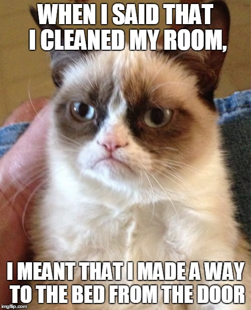 Grumpy Cat | WHEN I SAID THAT I CLEANED MY ROOM, I MEANT THAT I MADE A WAY TO THE BED FROM THE DOOR | image tagged in memes,grumpy cat | made w/ Imgflip meme maker