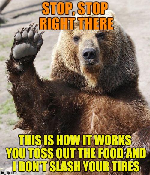 Park greeter |  STOP, STOP RIGHT THERE; THIS IS HOW IT WORKS YOU TOSS OUT THE FOOD AND I DON'T SLASH YOUR TIRES | image tagged in hello bear,memes | made w/ Imgflip meme maker