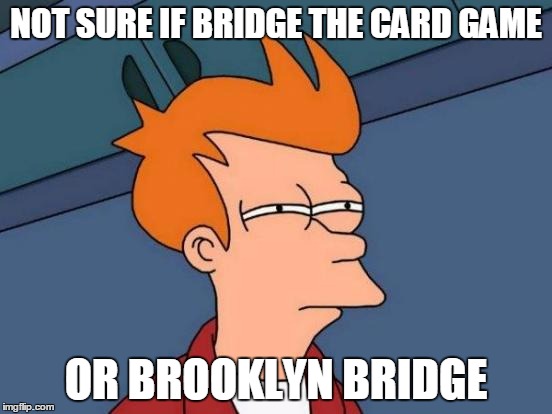 Futurama Fry Meme | NOT SURE IF BRIDGE THE CARD GAME OR BROOKLYN BRIDGE | image tagged in memes,futurama fry | made w/ Imgflip meme maker