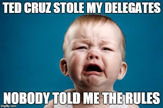 BABY CRYING | TED CRUZ STOLE MY DELEGATES; NOBODY TOLD ME THE RULES | image tagged in baby crying | made w/ Imgflip meme maker