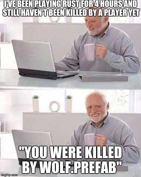 I had 1000 stone on me and 700 metal shavings, too | I'VE BEEN PLAYING RUST FOR 4 HOURS AND STILL HAVEN'T BEEN KILLED BY A PLAYER YET; "YOU WERE KILLED BY WOLF.PREFAB" | image tagged in memes,hide the pain harold,rust,player | made w/ Imgflip meme maker
