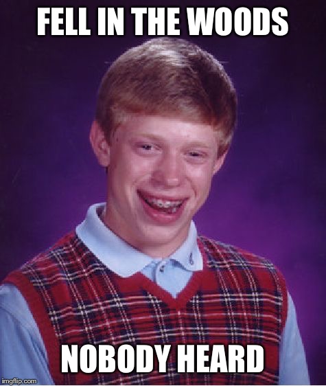 I think he's still there | FELL IN THE WOODS; NOBODY HEARD | image tagged in memes,bad luck brian,lol,funny,funny memes | made w/ Imgflip meme maker