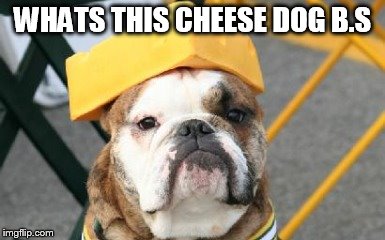 WHATS THIS CHEESE DOG B.S | made w/ Imgflip meme maker