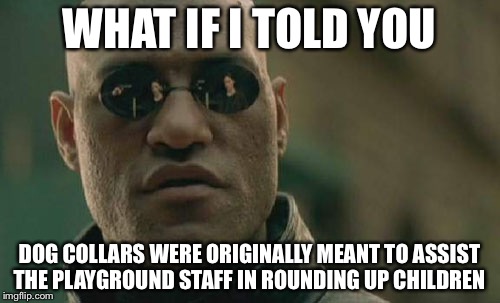 Matrix Morpheus Meme | WHAT IF I TOLD YOU; DOG COLLARS WERE ORIGINALLY MEANT TO ASSIST THE PLAYGROUND STAFF IN ROUNDING UP CHILDREN | image tagged in memes,matrix morpheus | made w/ Imgflip meme maker