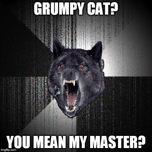 Insanity Wolf | GRUMPY CAT? YOU MEAN MY MASTER? | image tagged in memes,insanity wolf | made w/ Imgflip meme maker