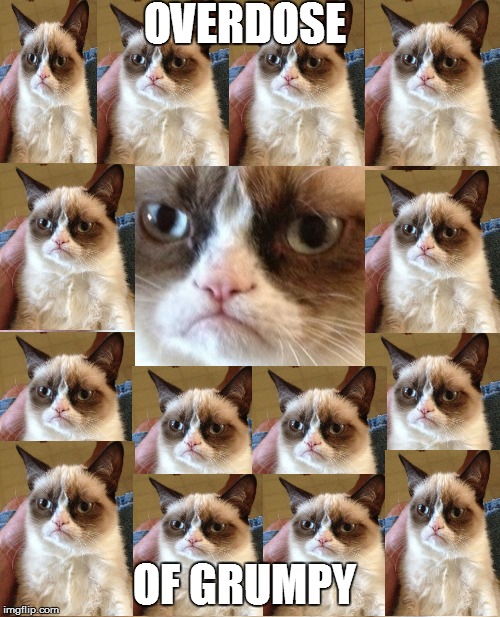 Grumpy Cat Meme | OVERDOSE OF GRUMPY | image tagged in memes,grumpy cat | made w/ Imgflip meme maker