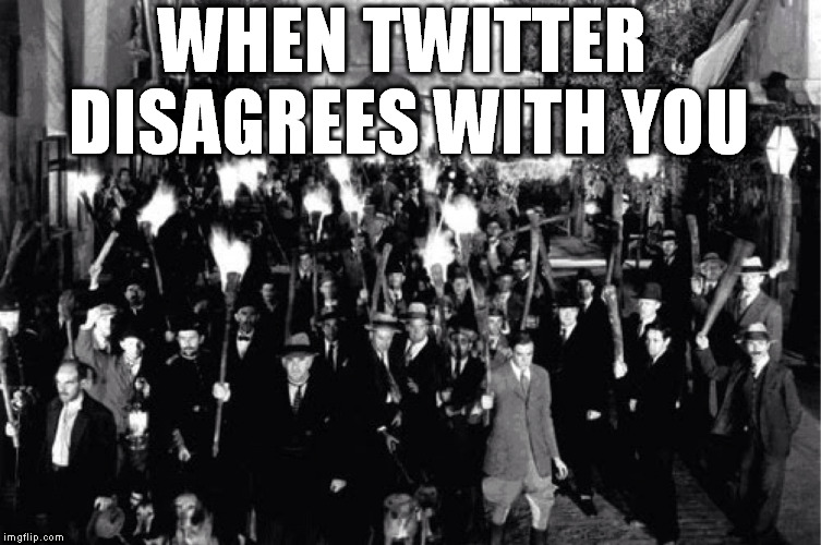 Angry Mob | WHEN TWITTER DISAGREES WITH YOU | image tagged in angry mob,mob,twitter,morons | made w/ Imgflip meme maker