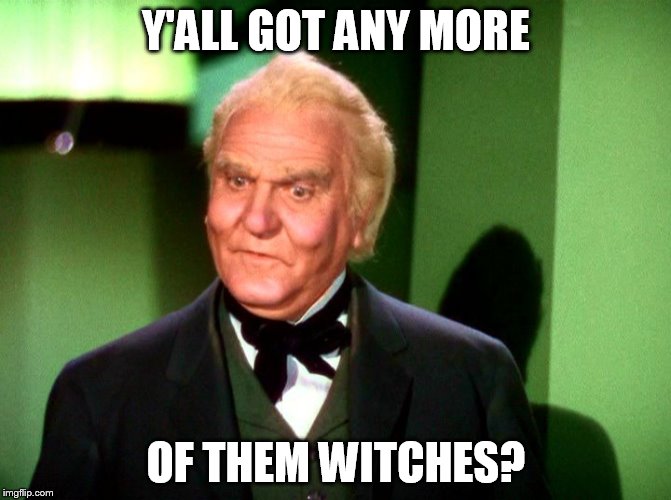 Wizard of Oz Wizard | Y'ALL GOT ANY MORE; OF THEM WITCHES? | image tagged in wizard of oz wizard | made w/ Imgflip meme maker